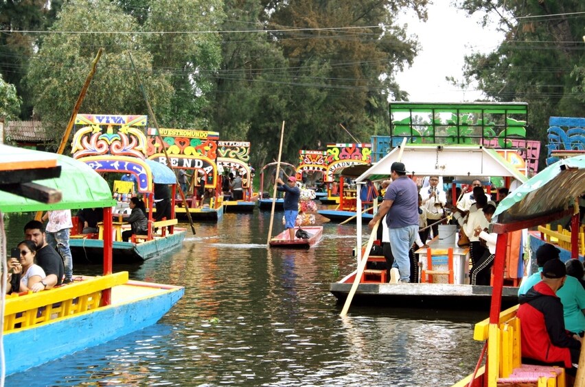 Discover Xochimilco, Coyoacán and Frida Kahlo Museum