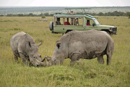 Safari de 2 días a Tarangire y al cráter de Ngorongoro