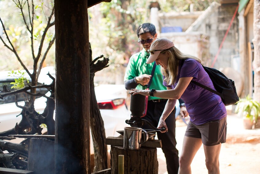 Doi Inthanon National Park Small Group Tour 