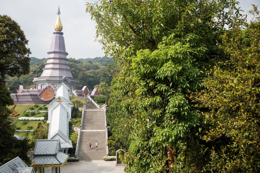 Doi Inthanon National Park Small Group Tour 