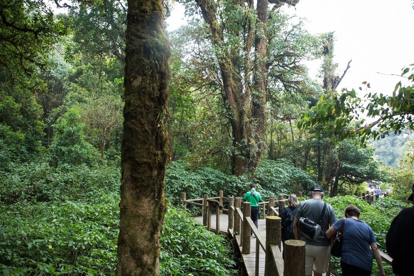 Doi Inthanon National Park Small Group Tour 