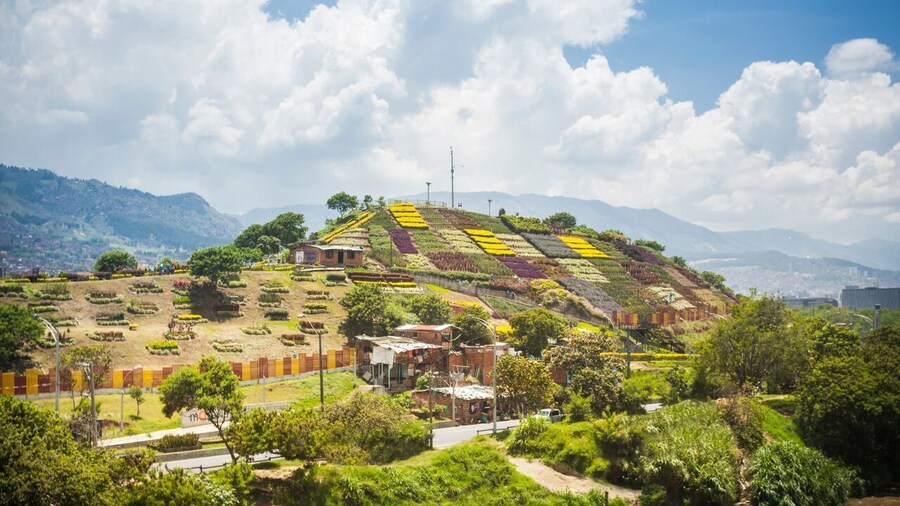 Private Tour: Medellín - Moravia, From Trash to Flowers
