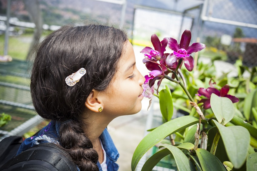 Private Tour: Medellín - Moravia, From Trash to Flowers