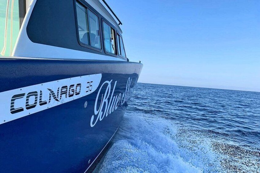 The Blue Shark on the route to one of the famous Adriatic destination