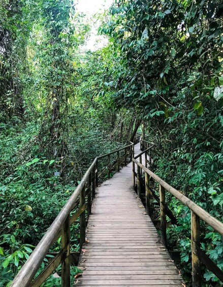 One Day Tour Manuel Antonio - Beach Day