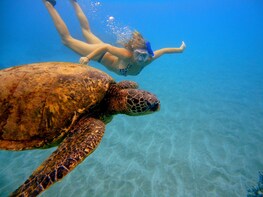 4.5 Hour Deluxe Snorkel Tour