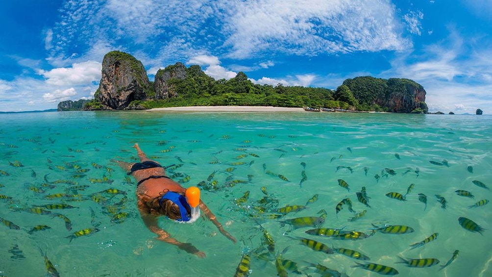Snorkeling Phi Phi Islands Tour From Phi Phi by Speedboat