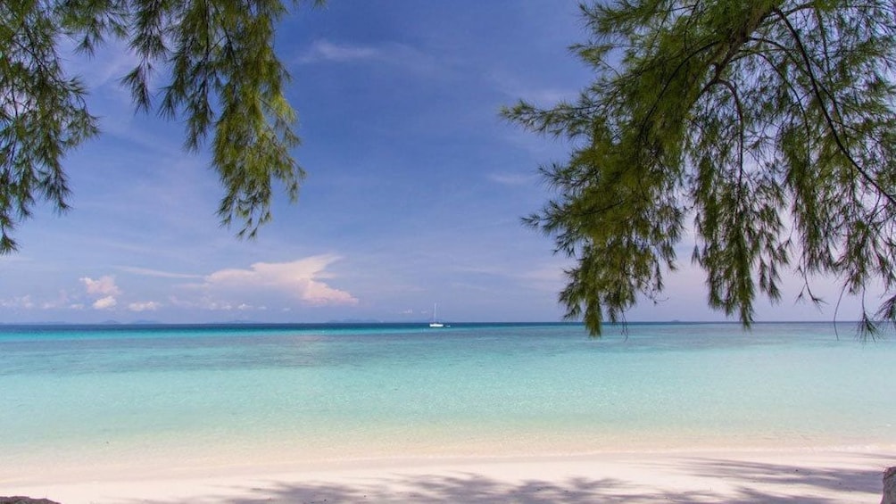 Bamboo Island Snorkeling Tour From Phi Phi