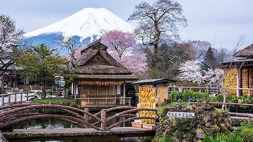 Tokio Mt. Fuji en Oshino Hakkai Bus Tour