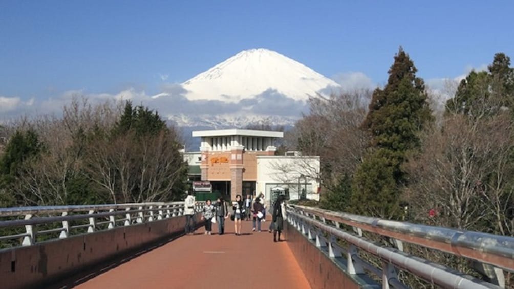 Tokyo Mt. Fuji and Oshino Hakkai Bus Tour