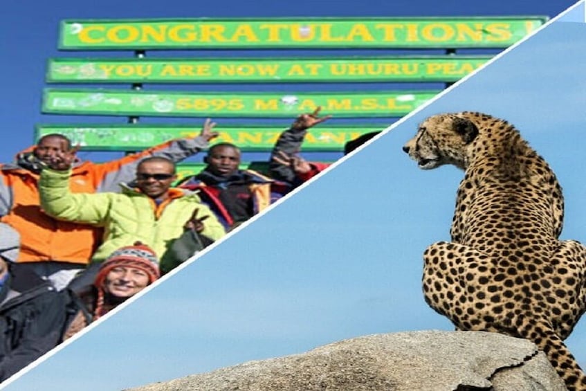 15 Days Kilimanjaro Trek & Wildlife Safari