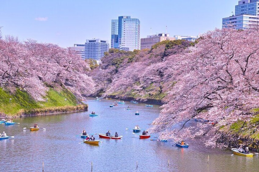 Tokyo Self-Guided Audio Tour