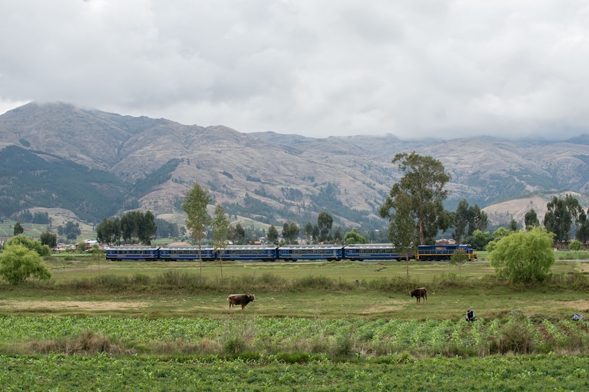 Machu Picchu Day Trip From Cusco in Vistadome Train