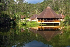 Full-Day Andasibe-ANALAMAZAOTRA Special Reserve Private Tour from Antananar...