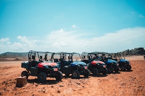 full day utv hire