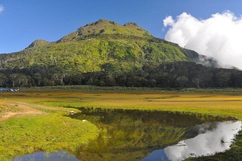 Davao Mount Apo Trekking