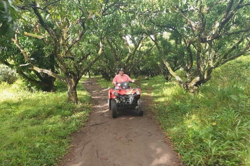 ATV Tour of St Kitts