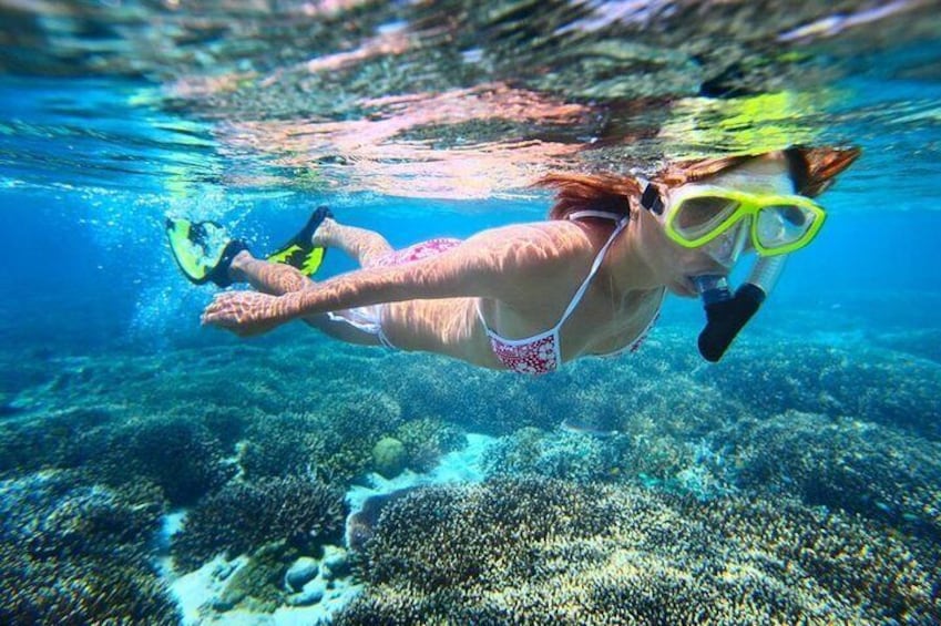 Snorkeling in the French Nature Reserve