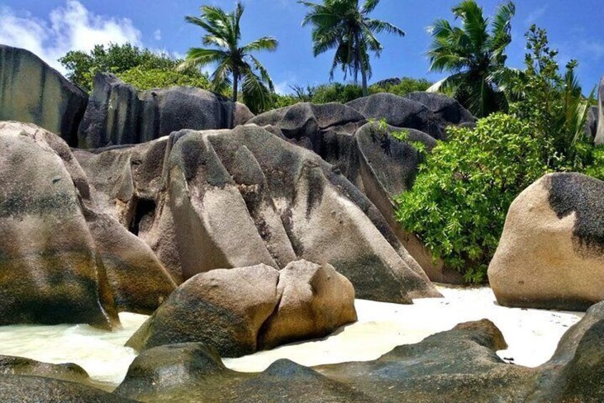 Beach La Digue
