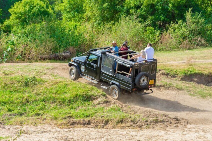 Minneriya National Park Shared Safari