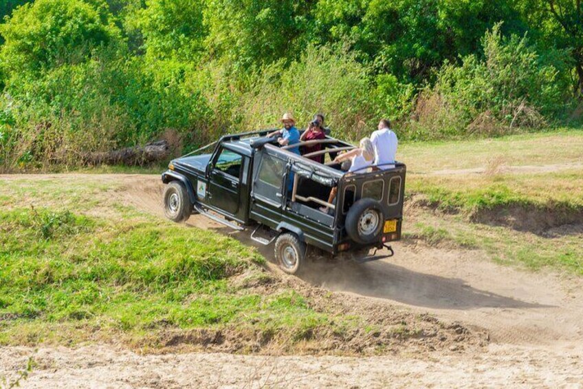 Polonnaruwa Ancient Kingdom and Wild Elephant Safari from Habarana