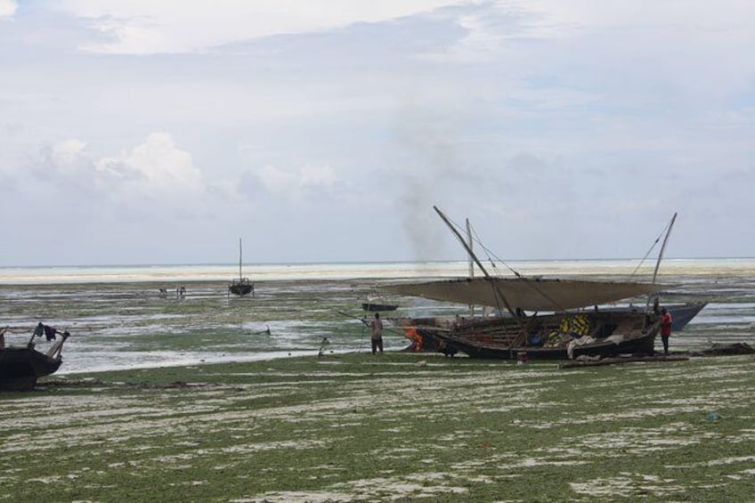 Show item 2 of 5. Nungwi Village Tour
