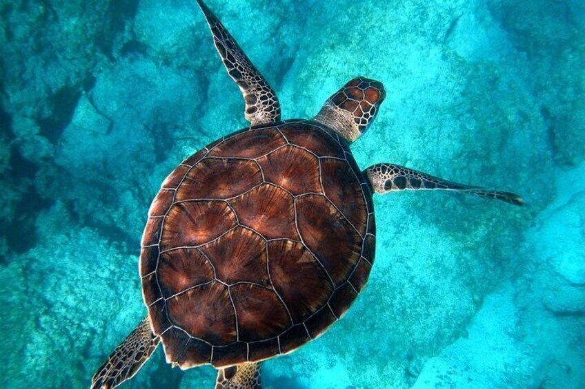 Show item 3 of 8. 4 Days Zanzibar Honeymoon