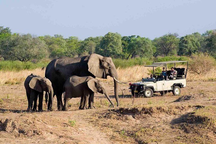 Zambezi National Park AM or PM Game Drive