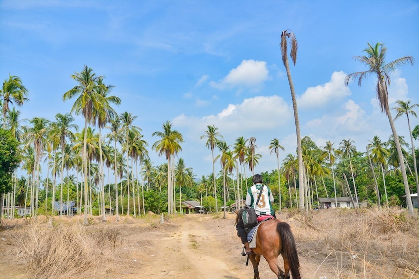 Sunset Horse Riding Tour at Ao Nam Mao Beach Krabi
