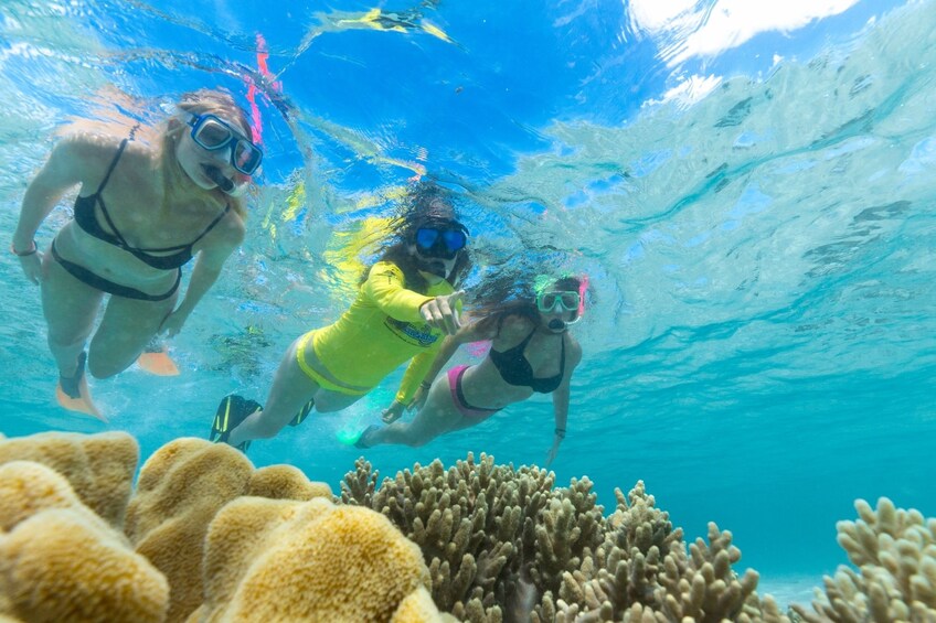 Ocean Safari Great Barrier Reef Experience