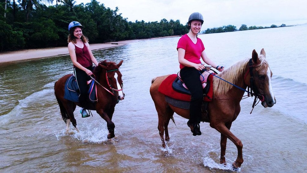 1 Hour Horse Riding Tour On The Beach Krabi
