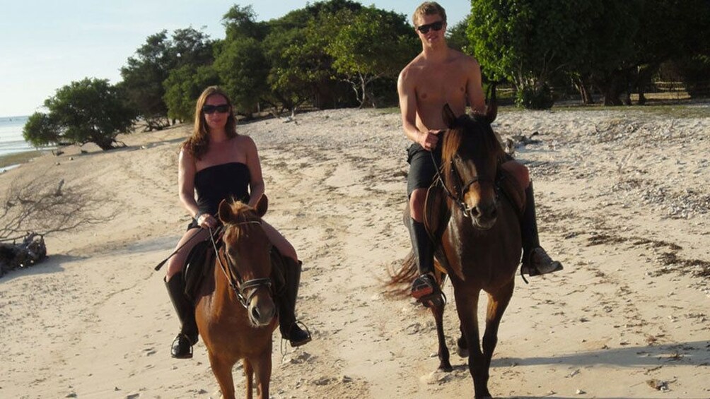 1 Hour Horse Riding Tour On The Beach Krabi