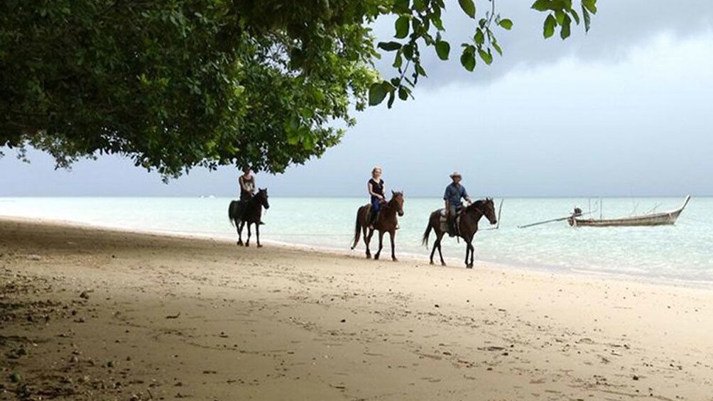 1 Hour Horse Riding Tour On The Beach Krabi