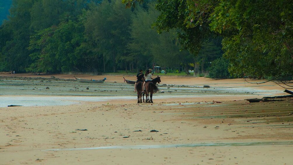 1 Hour Horse Riding Tour On The Beach Krabi