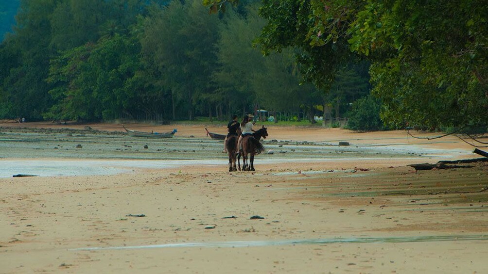 2 Hour Horse Riding Tour On The Beach Krabi