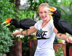 Phuket Bird Park