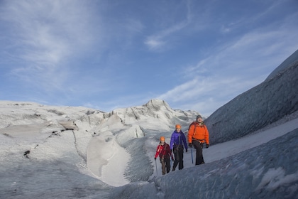 Eenvoudige gletsjerwandeling in kleine groep op de Solheimajokull gletsjer