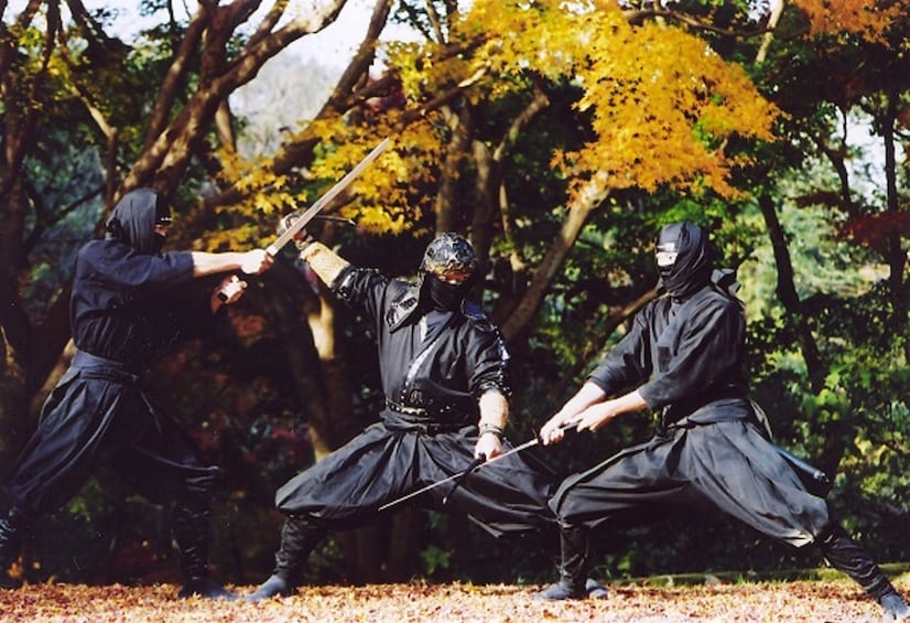 Show item 4 of 5. Explore Ninja Village Iga by Direct Bus from Nagoya