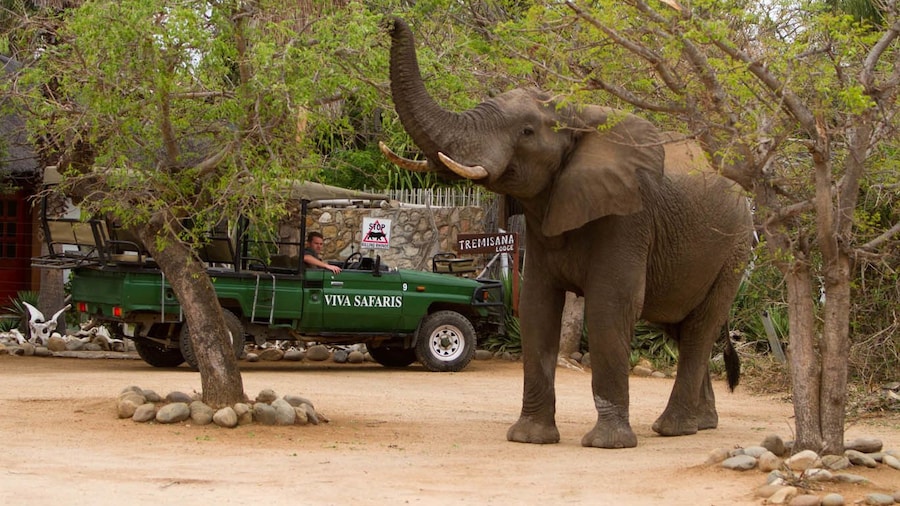 4 Day Classic Kruger National Park Safari