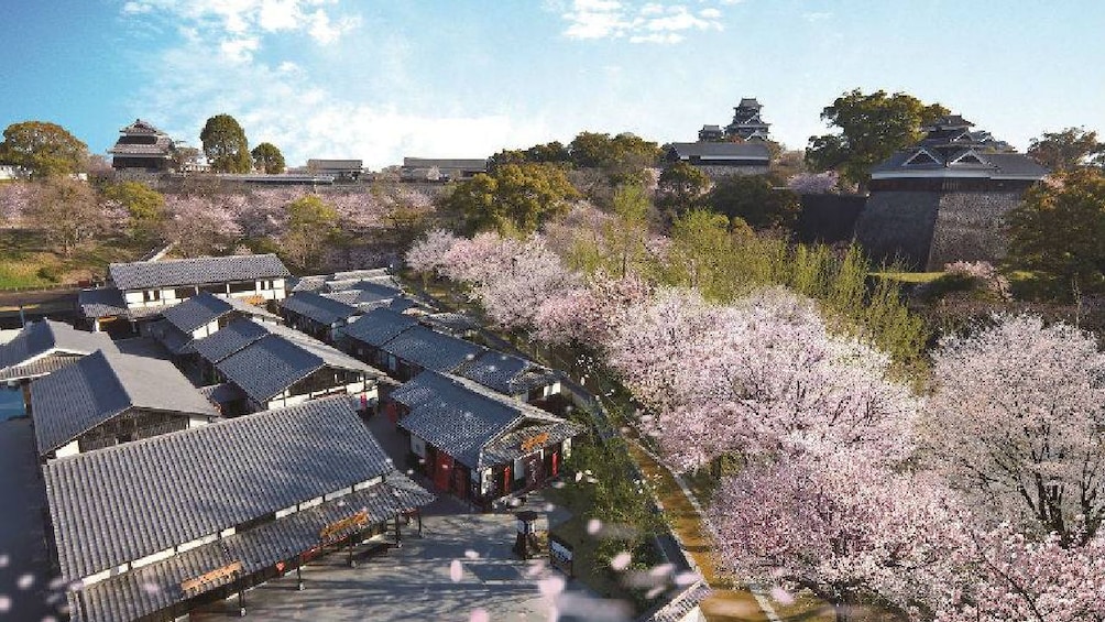 Show item 3 of 5. Fukuoka to Kumamoto: Mt. Aso, Kumamoto Castle & Tamana Onsen