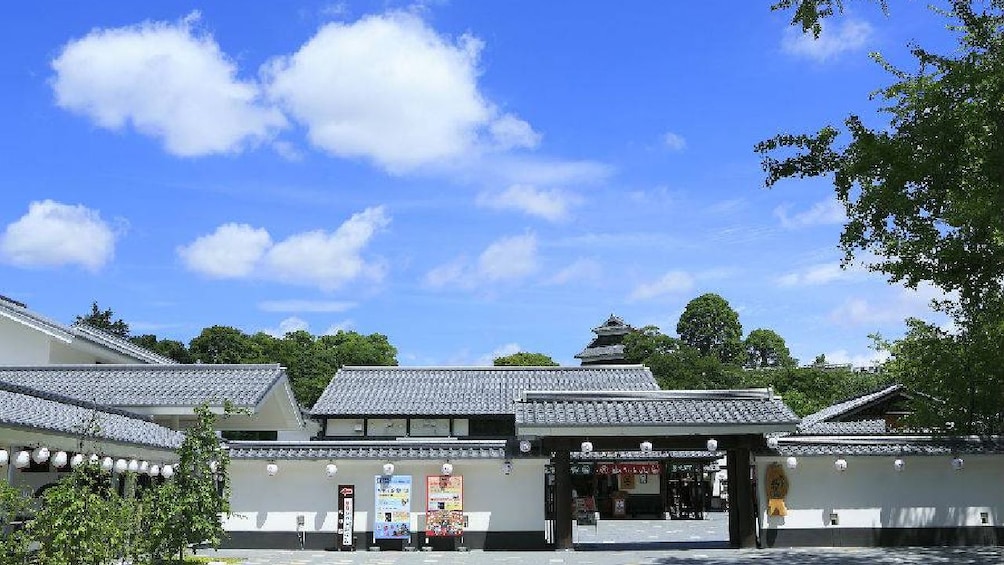 Show item 4 of 5. Fukuoka to Kumamoto: Mt. Aso, Kumamoto Castle & Tamana Onsen
