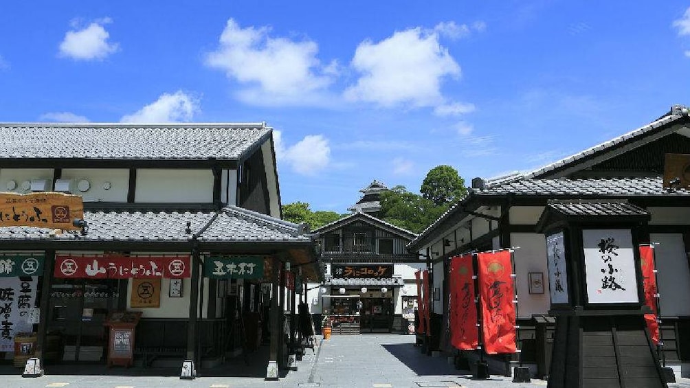 Show item 2 of 5. Fukuoka to Kumamoto: Mt. Aso, Kumamoto Castle & Tamana Onsen