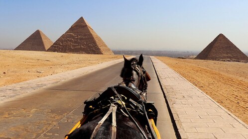 Ritt på kamel eller hest rundt pyramidene