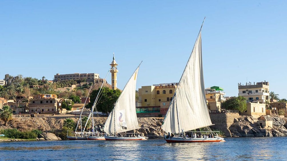 Aswan City Tour by Horse Carriage - Private tour