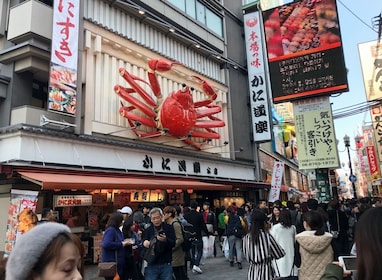 Privado y personalizado: recorrido gastronómico callejero por Osaka