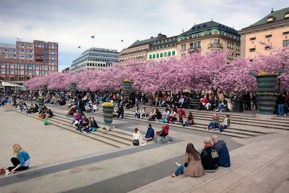 I segreti meglio custoditi di Stoccolma: Privato e personalizzato