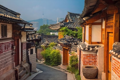 Privado y personalizado: visita Seúl en un día