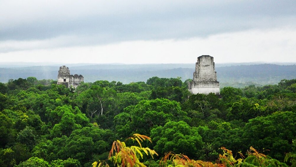 PrivateTour: Tikal Day Tour