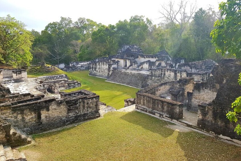 PrivateTour: Tikal Day Tour