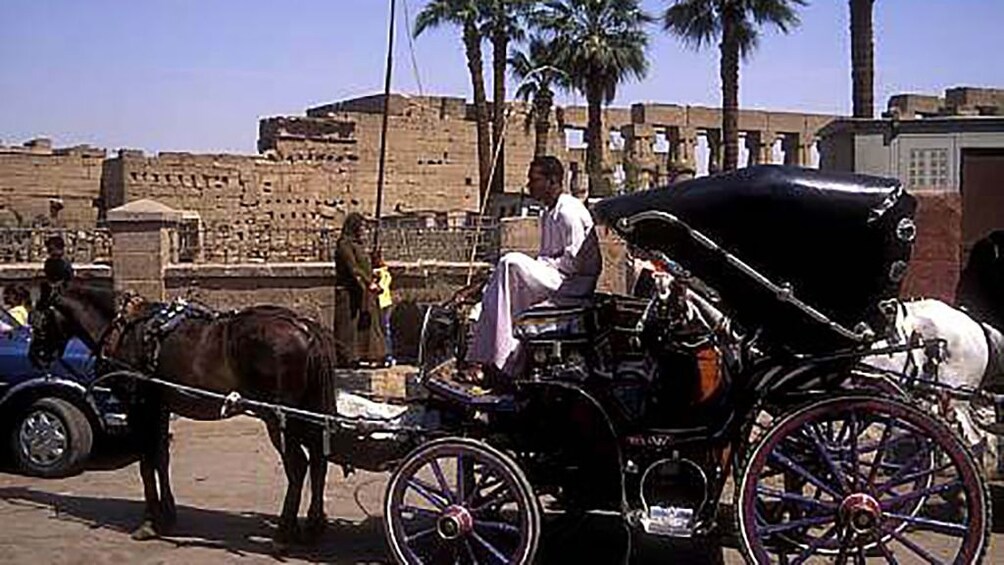 Luxor City Tour By Horse Carriage